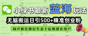 小绿书无脑搬运引流，全自动日引500精准创业粉，微信生态内又一个闷声发财的机会-比钱轻创