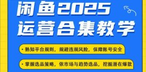2025闲鱼电商运营全集，2025最新咸鱼玩法-比钱轻创