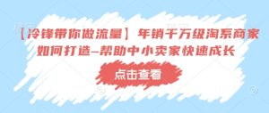 【冷锋带你做流量】年销千万级淘系商家如何打造–帮助中小卖家快速成长-比钱轻创