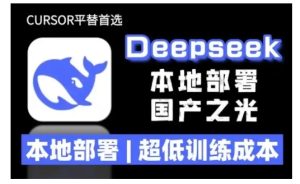2025年deepseek R1 大型模型本地安装部署(文件+教程)本地部署,超低训练成本-比钱轻创