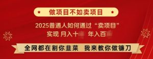 必看，做项目不如卖项目，2025普通人如何通过“卖项目”实现月入十个，年入百个-比钱轻创