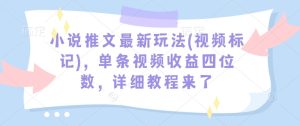 小说推文最新玩法(视频标记)，单条视频收益四位数，详细教程来了-比钱轻创