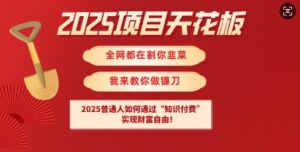 2025项目天花板普通人如何通过知识付费，实现财F自由【揭秘】-比钱轻创