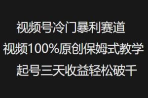 视频号冷门暴利赛道视频100%原创保姆式教学起号三天收益轻松破千-比钱轻创