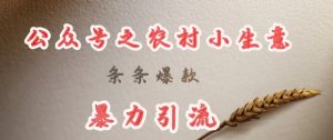 deepseek写农村小项目，条条爆款，暴力引流-比钱轻创