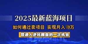 2025蓝海项目，普通人如何通过卖项目，实现月入过W，全过程【揭秘】-比钱轻创