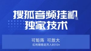 【搜狐音频挂G】独家技术，可矩阵可放大，红利期稳定月入8k【揭秘】-比钱轻创