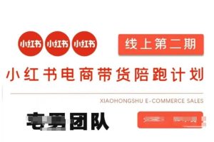 小红书电商带货课2期，月利润20个的小红书电商的有货源，无货源，虚拟产品，付费投流等整套玩法-比钱轻创