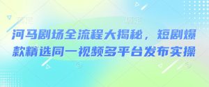 河马剧场全流程大揭秘,短剧爆款精选同一视频多平台发布实操-比钱轻创