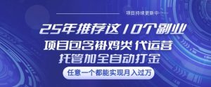 25年推荐这10个副业项目包含褂鸡类、代运营托管类、全自动打金类【揭秘】-比钱轻创