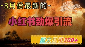 小红书超劲爆引流手段，图文日引300+轻松变现1W-比钱轻创