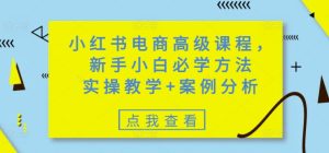 小红书电商高级课程,新手小白必学方法,实操教学+案例分析-比钱轻创