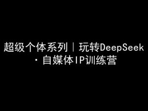 超级个体系列，玩转DeepSeek·自媒体IP训练营，deepseek教程-比钱轻创