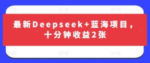 最新Deepseek+蓝海项目，十分钟收益2张-比钱轻创