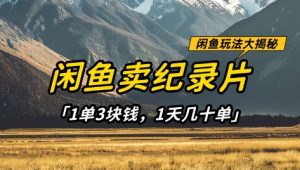 闲鱼卖纪录片1单3块钱，1天几十单，项目稳定有潜力-比钱轻创