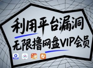 利用平台漏洞，无限撸网盘VIP会员，用户亲测有效!【漏洞原理+操作演示】-比钱轻创