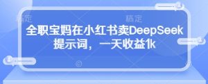 全职宝妈在小红书卖DeepSeek提示词，一天收益1k-比钱轻创