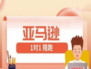 亚马逊1对1陪跑课(FBA/FBM精铺)跨境亚马逊教程-比钱轻创