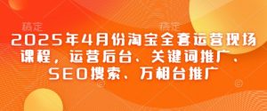 2025年4月份淘宝全套运营现场课程,运营后台、关键词推广、SEO搜索、万相台推广-比钱轻创