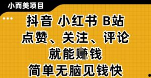 小而美的项目，抖音小红书B站视频点赞、关注、评论就能挣钱，简单无脑立见收益，妥妥的零撸项目【揭秘】-比钱轻创