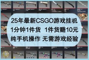 25年最新CSGO游戏挂G，1分钟1件货，1件货挣10元，纯手机操作，无需游戏经验【揭秘】-比钱轻创