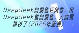 DeepSeek自媒体轻创业，用DeepSeek做自媒体，太容易挣钱了(2025年新课)-比钱轻创