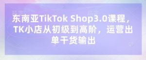 东南亚TikTok Shop3.0课程，TK小店​从初级到高阶，运营出单干货输出-比钱轻创