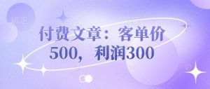 付费文章:客单价500,利润300-比钱轻创
