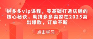 拼多多vip课程，零基础打造店铺的核心秘诀，助拼多多卖家在2025卖出爆款，订单不断-比钱轻创