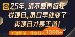 什么？25年你还在疯狂找项目做，醒醒吧，看完这些你全都懂了【揭秘】-比钱轻创