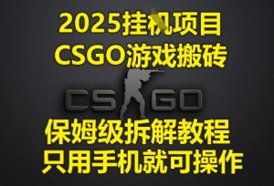 2025挂G项目，CSGO游戏搬砖，保姆级拆解教程，只用手机就可操作【揭秘】-比钱轻创