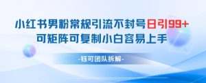 小红书男粉常规引流不封号日引99+变现简单 可矩阵可复制小白容易上手-比钱轻创