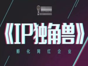 IP独角兽，孵化网红企业，ip教程-比钱轻创