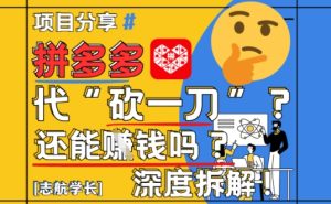 【2025最新】拼多多代坎助力项目深度拆解：还能挣钱吗?全流程玩法-比钱轻创