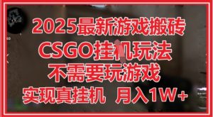 2025最新游戏搬砖，CSGO挂G，不需要玩游戏，实现真挂G，月入1W+【揭秘】-比钱轻创