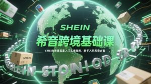 希音跨境基础课，SHEIN希音卖家入门实操指南，新手入坑希音必看-比钱轻创