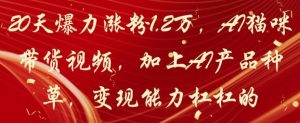 20天爆力涨粉1.2W，AI猫咪带货视频，加上AI产品种草，变现能力杠杠的-比钱轻创