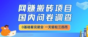 网创搬砖项目，国内问卷调查，小白轻松上手，一天三四张的也不难，干就完了【揭秘】-比钱轻创