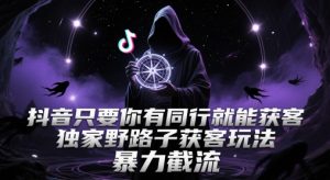 抖音只要你有同行就能获客，独家野路子获客玩法，暴力截流【揭秘】-比钱轻创