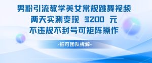 男粉引流教学美女常规跳舞视频两天实测变现1k+，不违规不封号可矩阵操作-比钱轻创