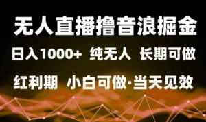 无人直播撸音浪掘金，日入1k+，纯无人红利期，小白可做，当天见效【揭秘】-比钱轻创