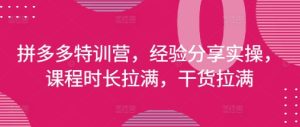 拼多多特训营，经验分享实操，课程时长拉满，干货拉满(更新25年4月)-比钱轻创