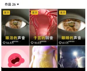 抖音坚果3D动画科普项目，撸视频号分成和抖音伙伴计划，适合零基础小白-比钱轻创