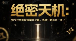 付费文章：绝密天机：如今社会的阶层攀升之路，也就只剩这么一条了-比钱轻创