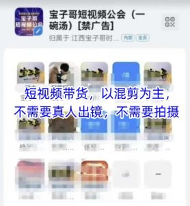宝子哥头部团队短视频带货,以混剪为主,不需要真人出镜,不需要拍摄【更新】-比钱轻创