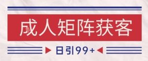 小红书某音橙人赛道引流获客,自热矩阵日引200+【揭秘】-比钱轻创