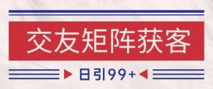 小红书某音交友赛道引流获客 自热矩阵日引200+【揭秘】-比钱轻创