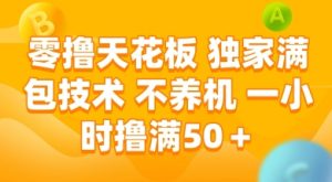 零撸天花板,独家满包技术 不养机 一小时撸满50+【揭秘】-比钱轻创