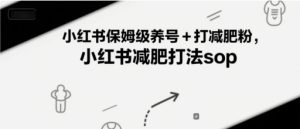 小红书保姆级养号+打减肥粉，小红书减肥打法sop-比钱轻创