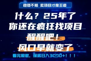 什么?25年你还在疯狂找项目做,醒醒吧,看完这些你全都懂了!【揭秘】-比钱轻创